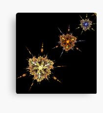 Star Trail Canvas Print