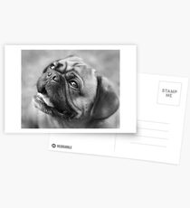 The Look Of Love Postcards