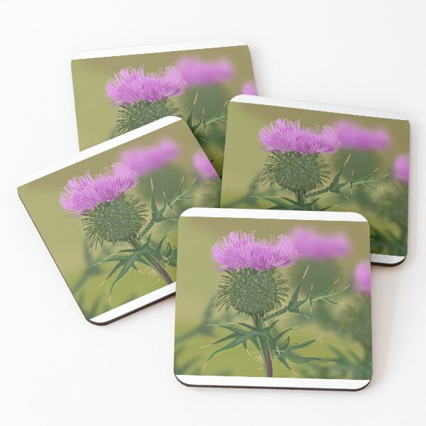 Item preview, Thistle  designed and sold by Purplepugprints.