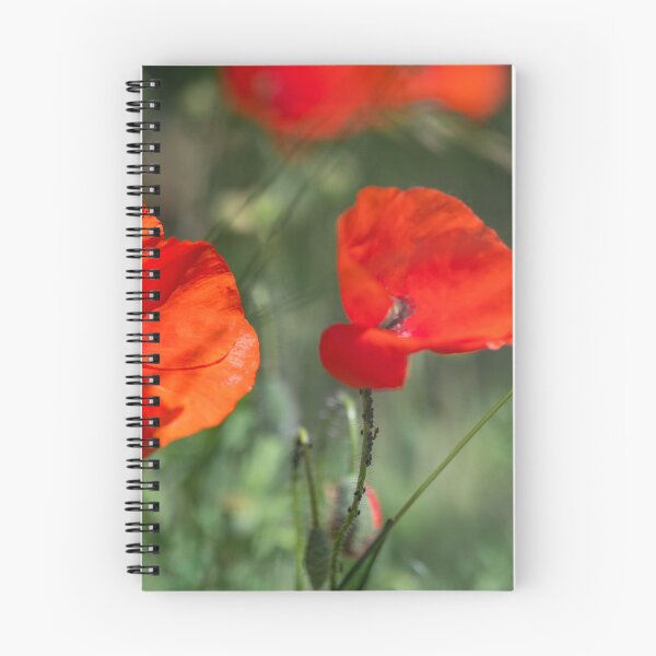 Item preview, poppy flowers designed and sold by OskiOnTour.