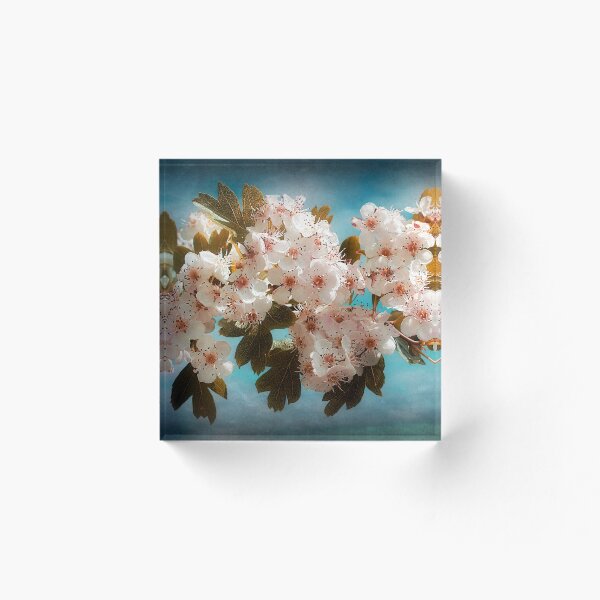 Item preview, A Blush Of Colour designed and sold by Christine Lake.