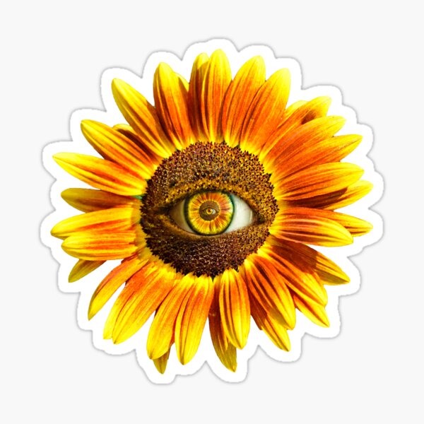 Pegatina «Increíble girasol con el ojo que te mira.» de MikiPhotoMashup |  Redbubble