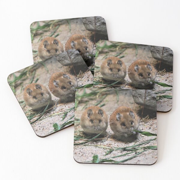 Item preview, Vole Beauty designed and sold by Fearless-Fox.