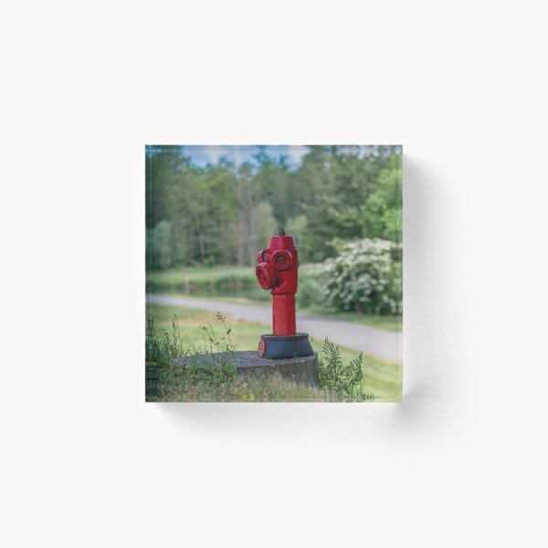 Artikelvorschau, roter Hydrant am Wegesrand entworfen und verkauft von OskiOnTour.