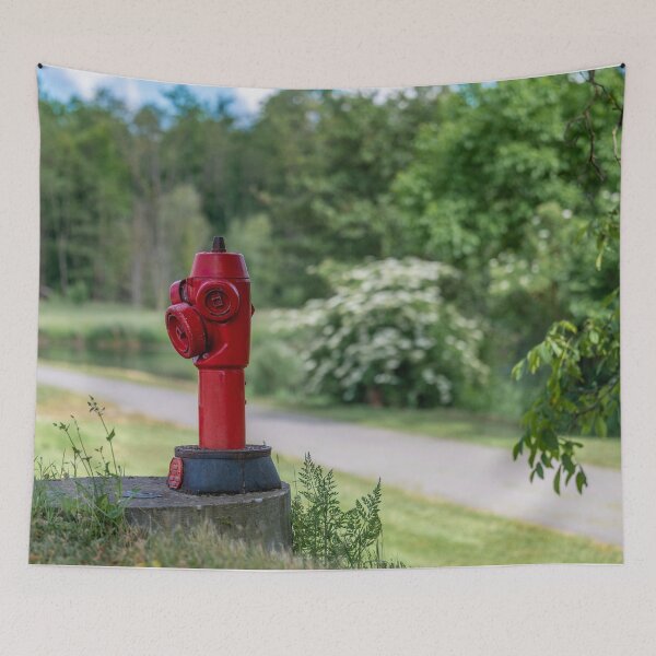 Artikelvorschau, roter Hydrant am Wegesrand entworfen und verkauft von OskiOnTour.