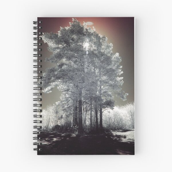 Item preview, UFO rising. Infrared photography designed and sold by Jouko Lehto Photography.
