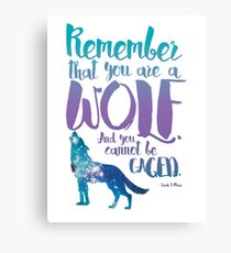 Remember that you are a wolf. And you cannot be caged. ― Sarah J. Maas, A Court of Wings and Ruin Canvas Print