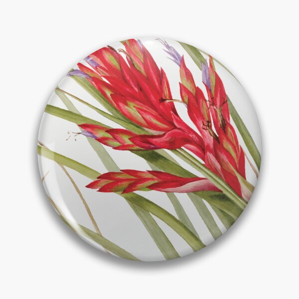 Item preview, Pink Quill Plant by Mary Vaux Walcott designed and sold by sunnyartgarden.