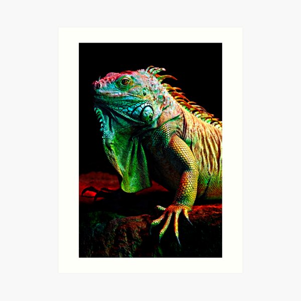 Iguana From The Deep Art Print