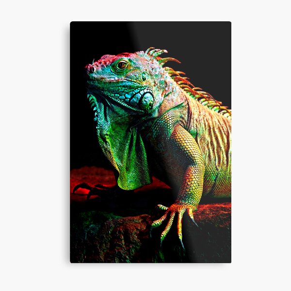 Iguana From The Deep Metal Print