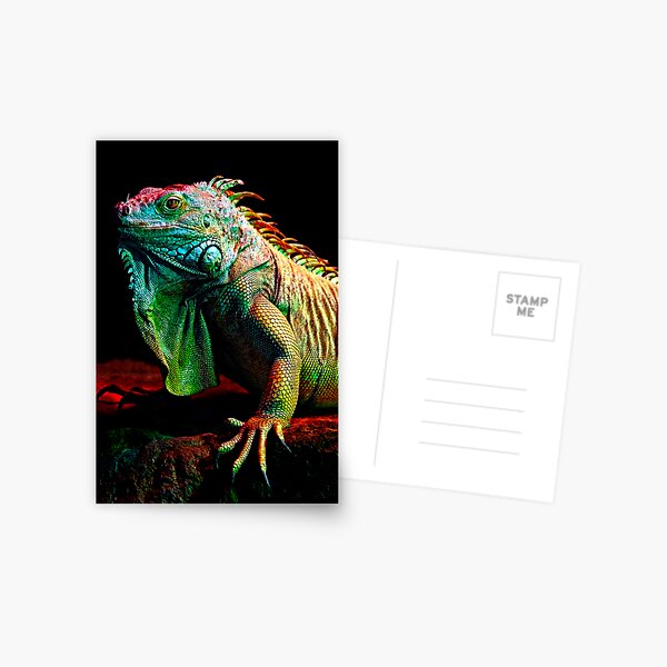 Iguana From The Deep Postcard