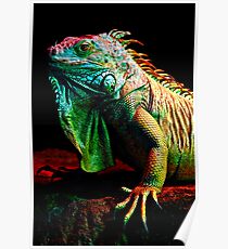 Iguana From The Deep Poster