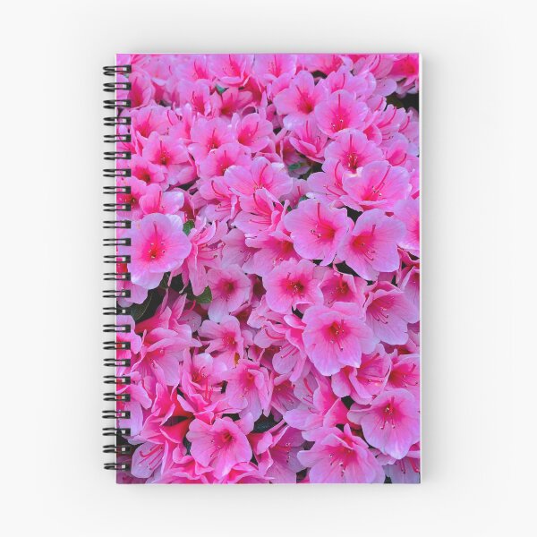 Item preview, Shabby Chic Pink designed and sold by Suzal770.