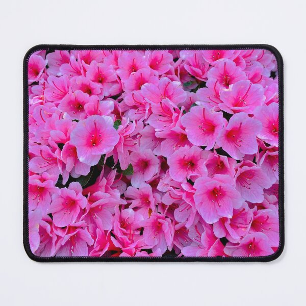 Item preview, Shabby Chic Pink designed and sold by Suzal770.
