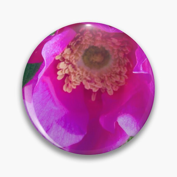 Item preview, Pink rose designed and sold by Shulie1.