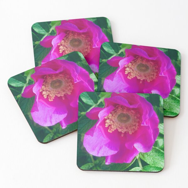 Item preview, Pink rose designed and sold by Shulie1.