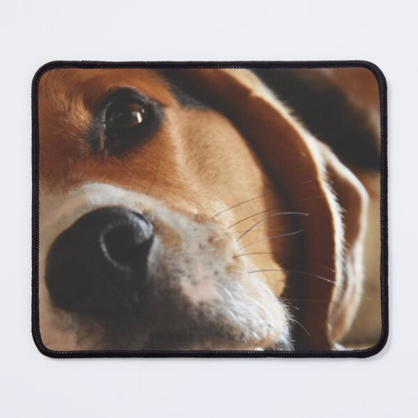 Item preview, A friend of Diamond? designed and sold by N12yearwood.