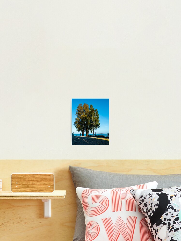 Thumbnail 2 of 3, Photographic Print, Tree Three designed and sold by RalphGoldsmith.
