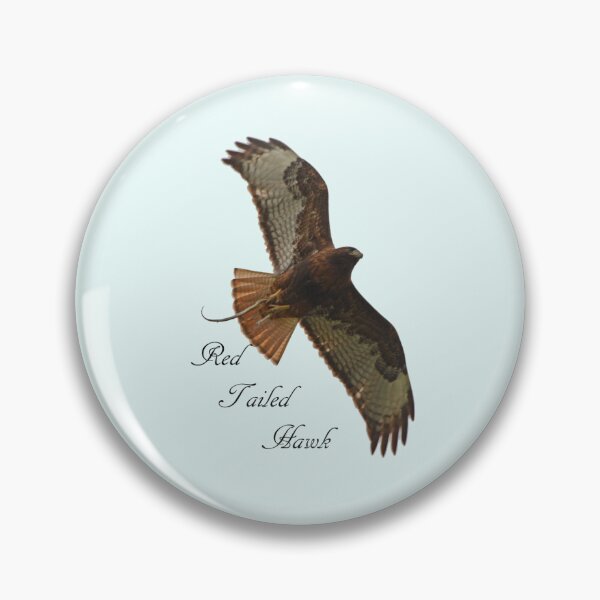 Item preview, Red Tailed Hawk with Snake designed and sold by Whisperingpeaks.