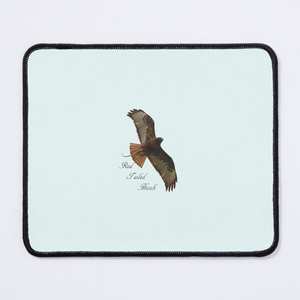 Item preview, Red Tailed Hawk with Snake designed and sold by Whisperingpeaks.