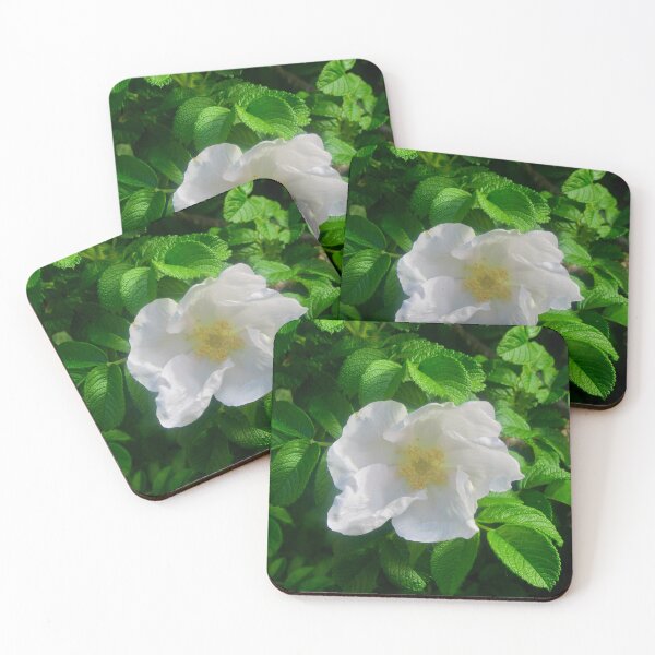 Item preview, Delicate white rose designed and sold by Shulie1.