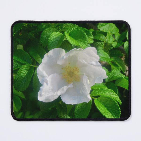 Item preview, Delicate white rose designed and sold by Shulie1.