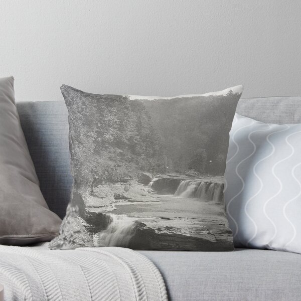 Item preview, Vintage Genesee River, NY designed and sold by BGPickers.