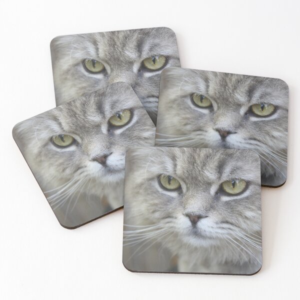 Item preview, Stunning Grey Cat Pet Photo Portrait designed and sold by taiche.