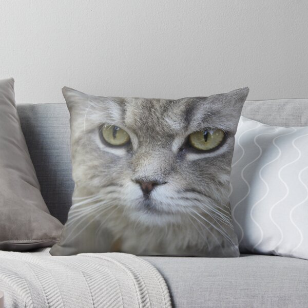 Item preview, Stunning Grey Cat Pet Photo Portrait designed and sold by taiche.
