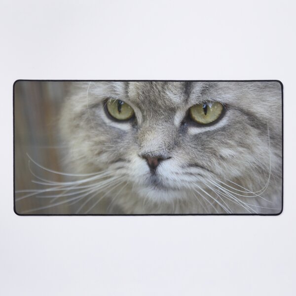 Item preview, Stunning Grey Cat Pet Photo Portrait designed and sold by taiche.