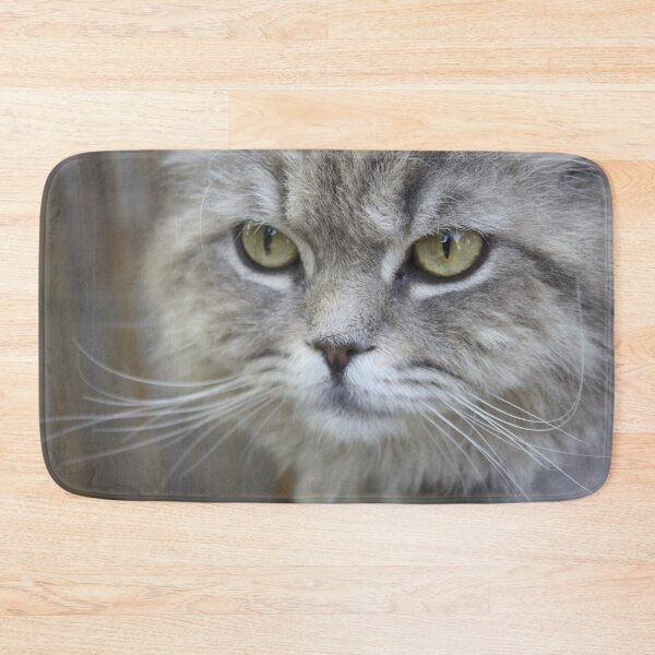 Item preview, Stunning Grey Cat Pet Photo Portrait designed and sold by taiche.