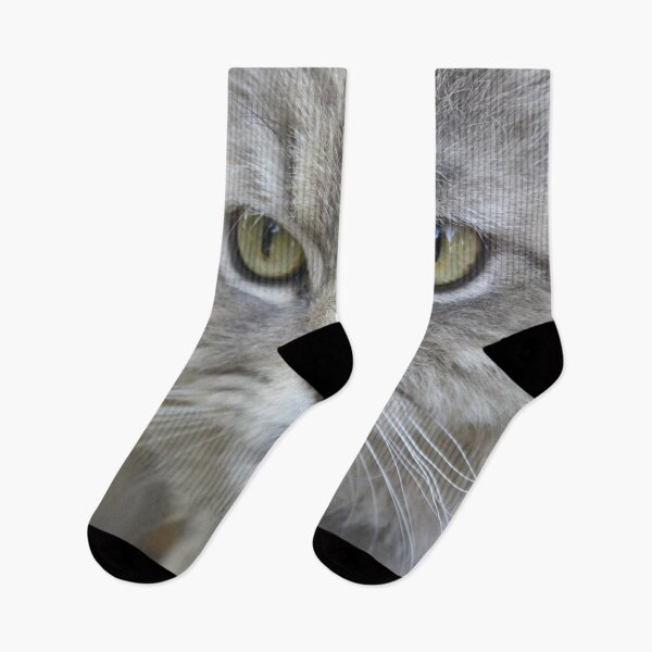 Item preview, Stunning Grey Cat Pet Photo Portrait designed and sold by taiche.