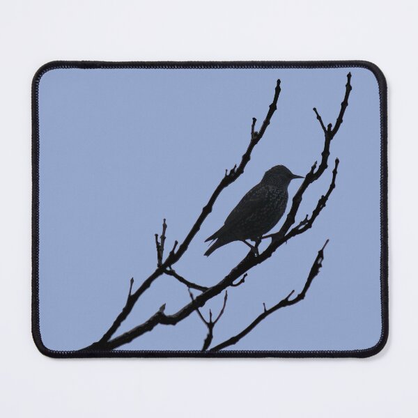 Item preview, Serenity black bird designed and sold by AHELENE.