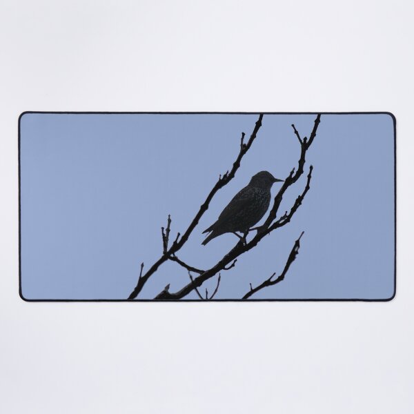 Item preview, Serenity black bird designed and sold by AHELENE.