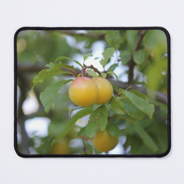 Item preview, yellow plum designed and sold by AHELENE.