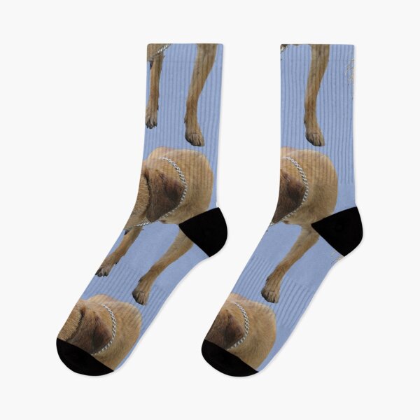 Item preview, Border Terrier serenity designed and sold by AHELENE.