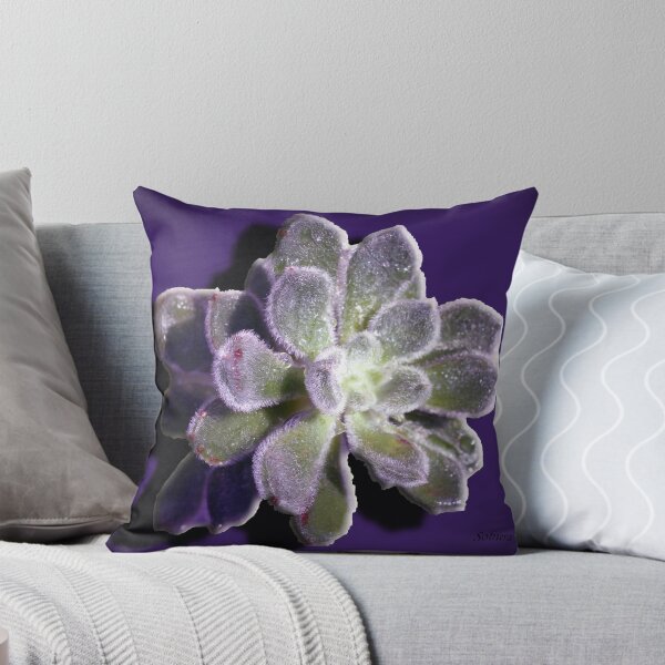 Item preview, Simply Succulent designed and sold by Rosemary Sobiera.