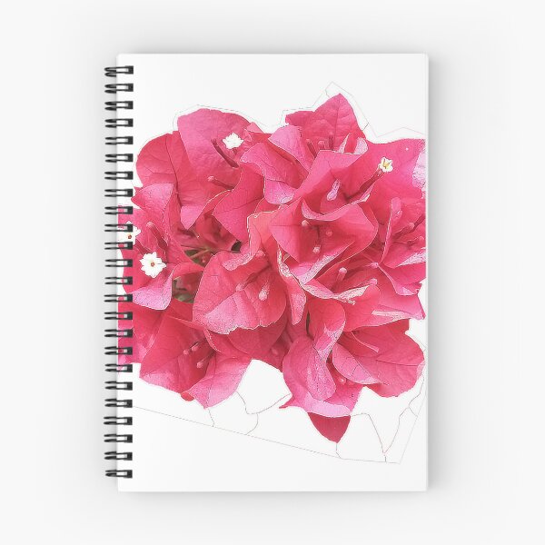 Aperçu de l'œuvre fleur rose créée et vendue par STEVENPROFF.