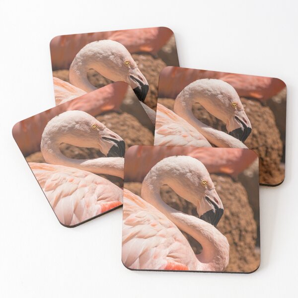Item preview, Chilean flamingo designed and sold by Martin Leber.
