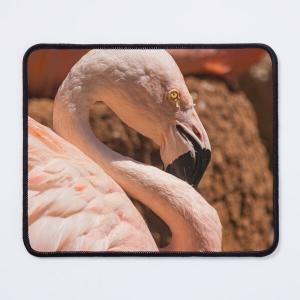 Item preview, Chilean flamingo designed and sold by Martin Leber.