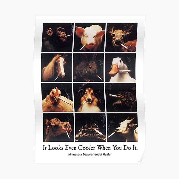 Smoking Animals 'It Looks Just As Stupid When You Do It' Minnesota Poster