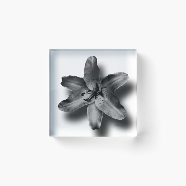 Item preview, Asiatic Lily 2 designed and sold by Rosemary Sobiera.