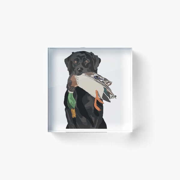 Item preview, Bird Dog Sticker designed and sold by MatthusDeligt.