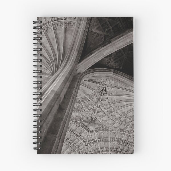 Item preview, Vaulted Ceiling designed and sold by AntSmith.