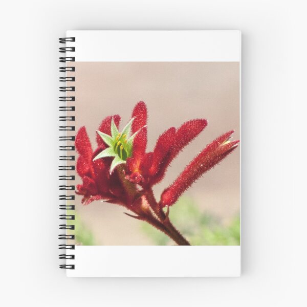 Item preview, Kangaroo Paw  designed and sold by DPalmer.