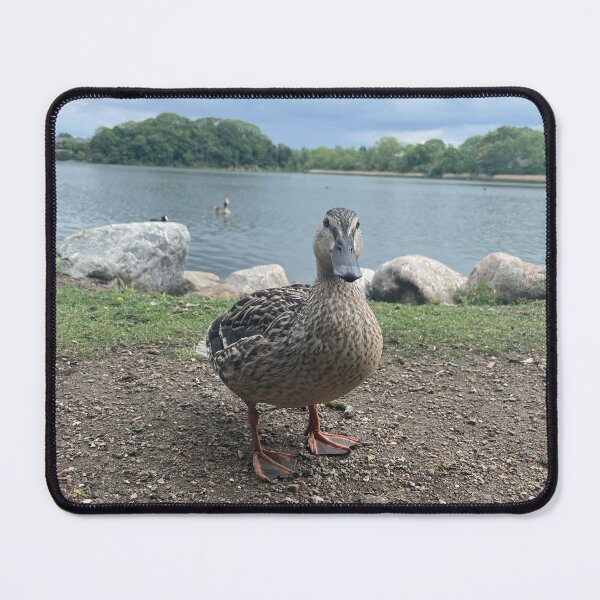 Item preview, Lady Duck designed and sold by Mortinus.