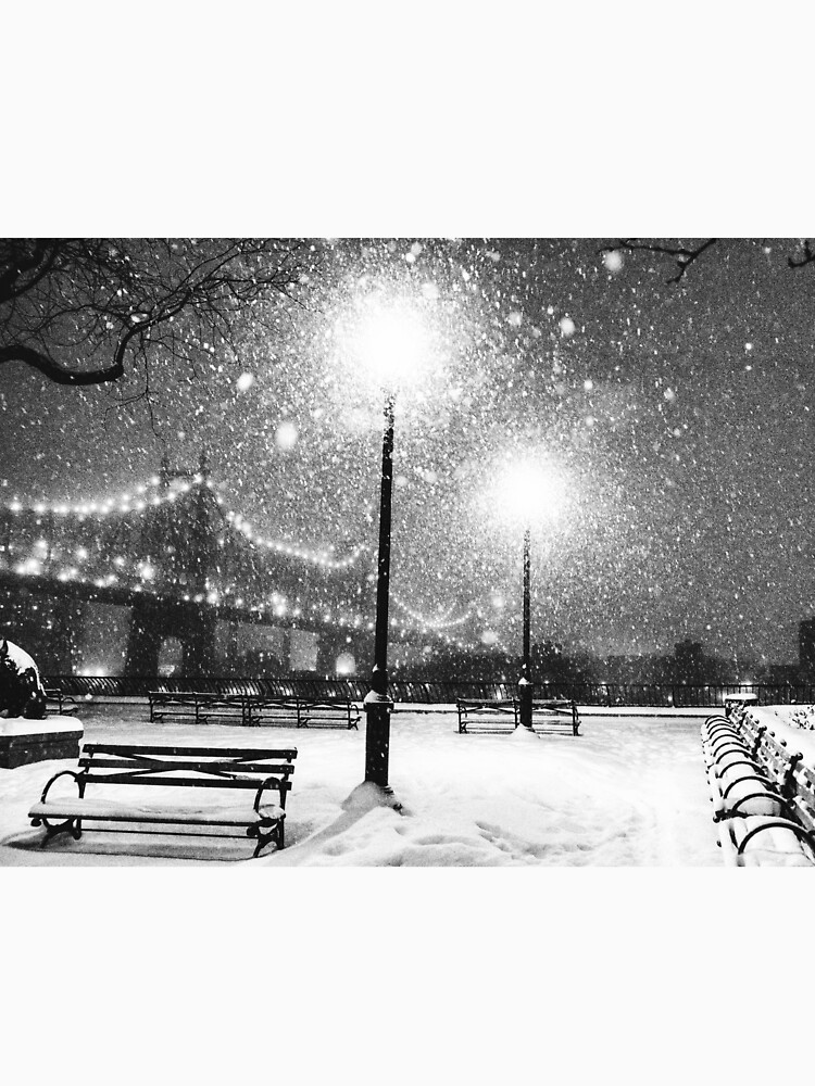 New York City Snow by vgucwaphoto