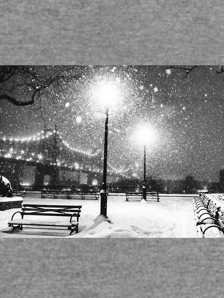 New York City Snow by vgucwaphoto