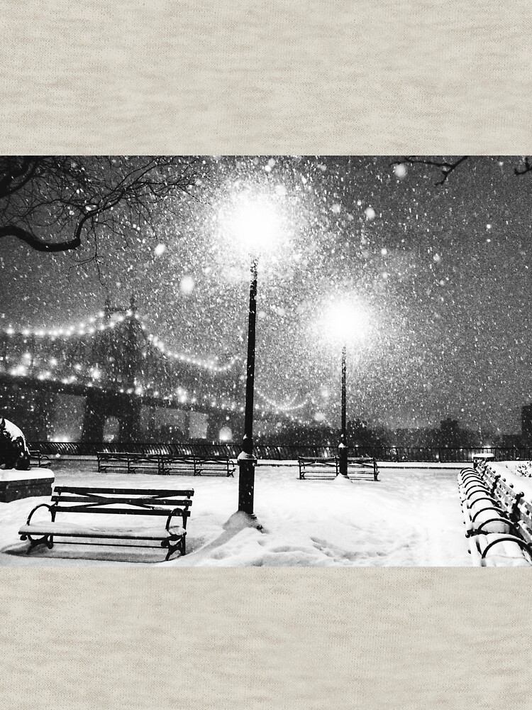 New York City Snow by vgucwaphoto