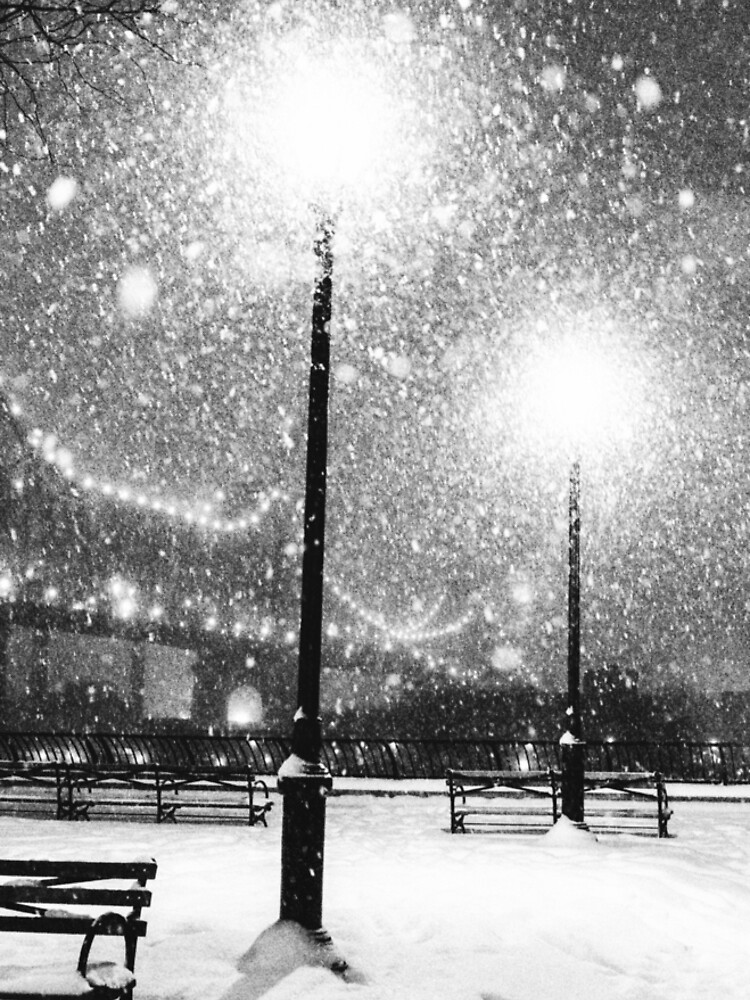 New York City Snow by vgucwaphoto